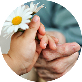 Eine Kinderhand, die einer zweiten, älteren Hand eine Blume übergibt.